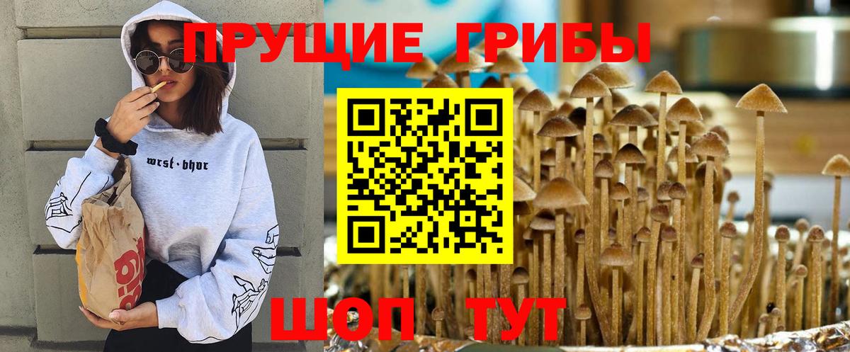 Ялта  Псилоцибиновые грибы Psilocybine cubensis  Галлюциногенные грибы Psilocybine cubensis  Вход с VPN 